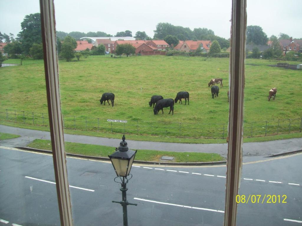 Minster Garth Guest House Beverley Pokoj fotografie