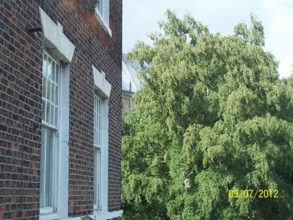 Minster Garth Guest House Beverley Pokoj fotografie